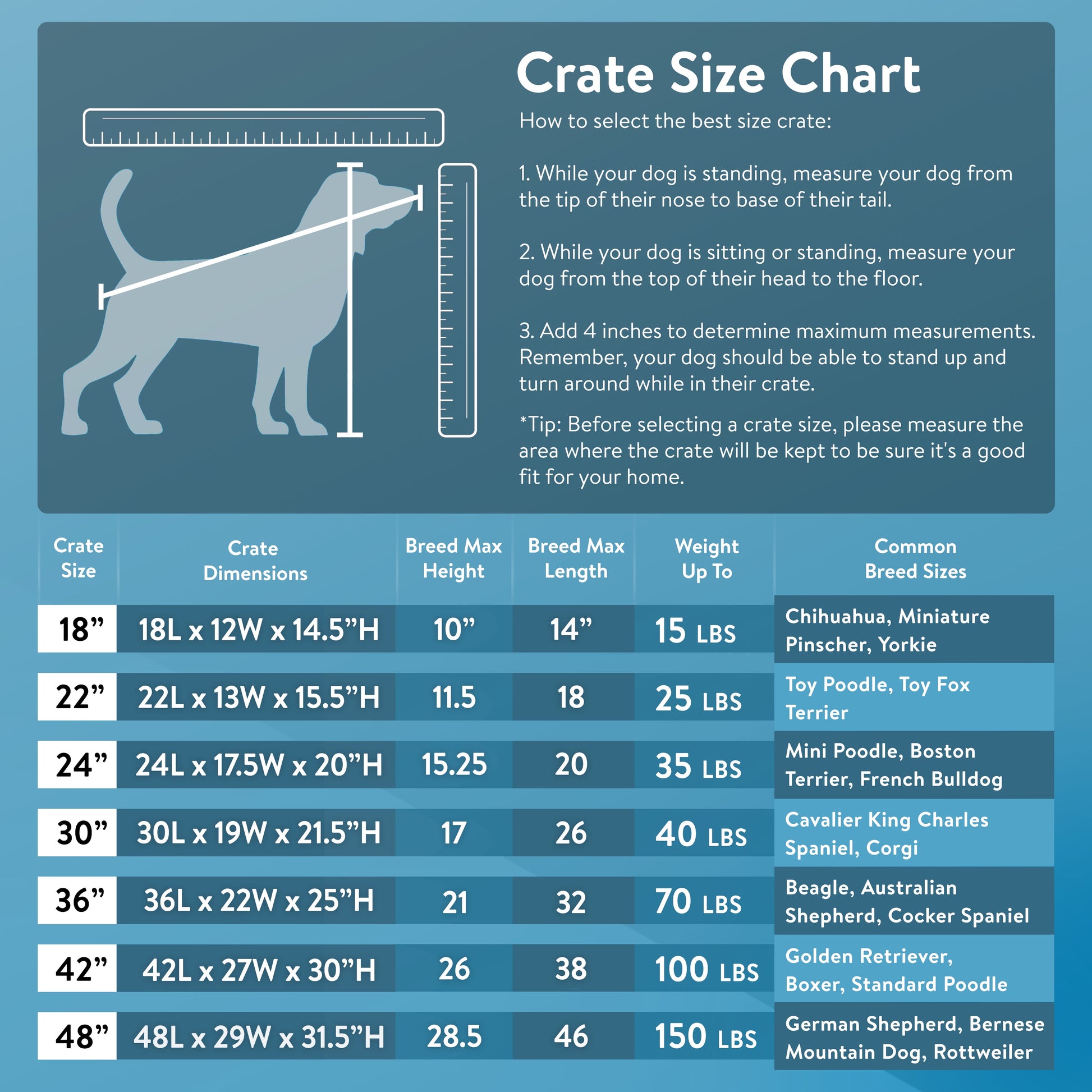 , Single-Door Folding Dog Crate with Divider, Xx-Large, 48"