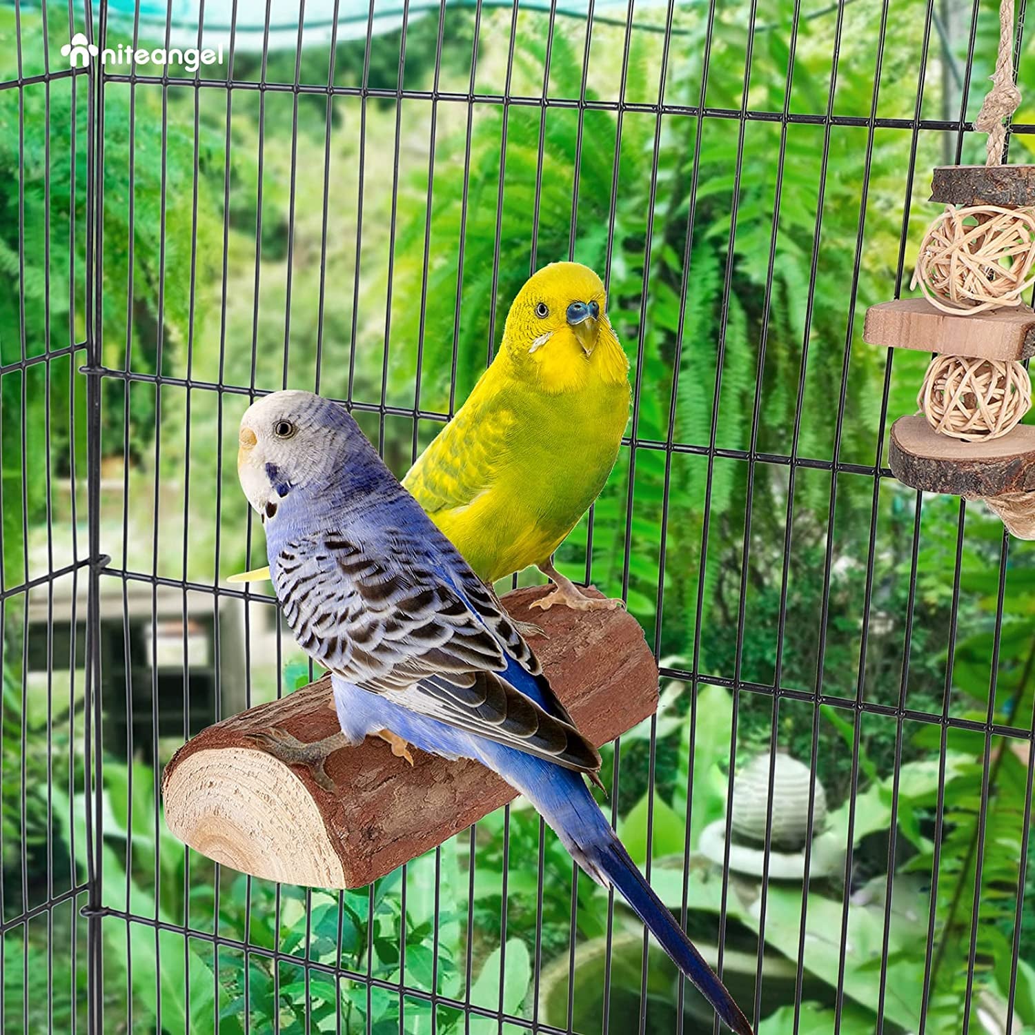 Parrot Cage Perch, Wooden Platform for Birds (2 Packs)