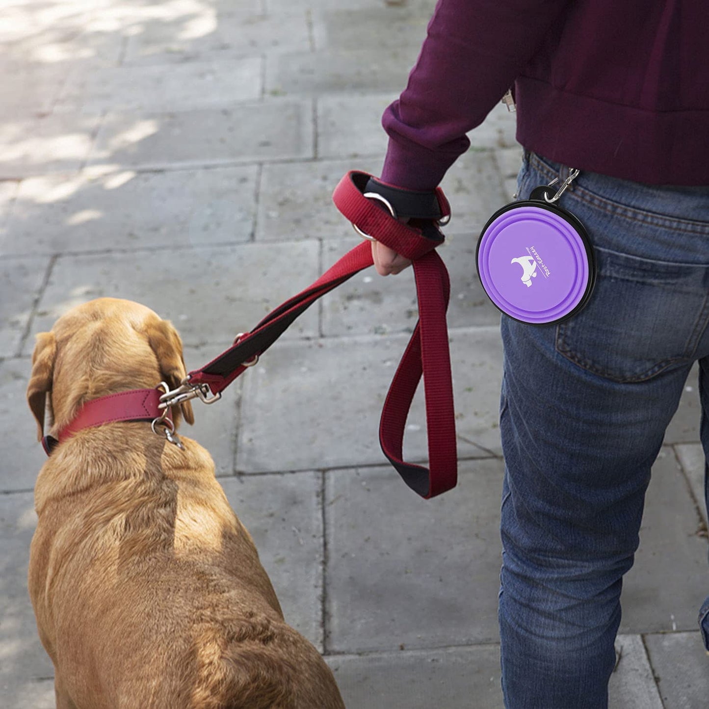 Expandable Dog Bowls for Travel, 2-Pack Dog Portable Water Bowl for Dogs Cats Pet Foldable Feeding Watering Dish for Traveling Camping Walking with 2 Carabiners, BPA Free